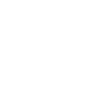 Allegheny logo white