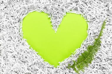 Heart frame made of shredded paper and a green leaf.